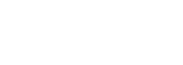 Logo Footer